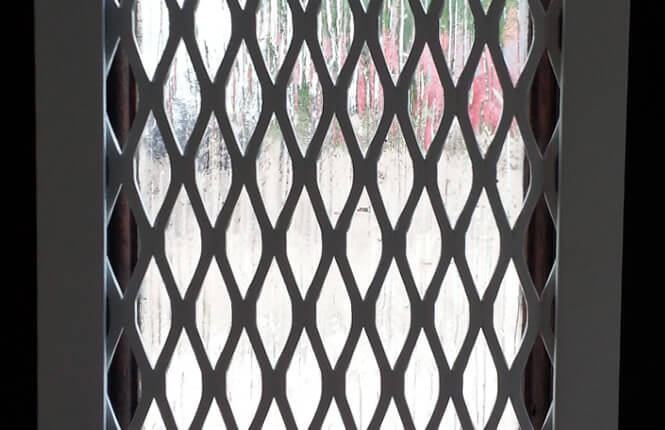 Small RSG800 mesh grille on front door vision panel.