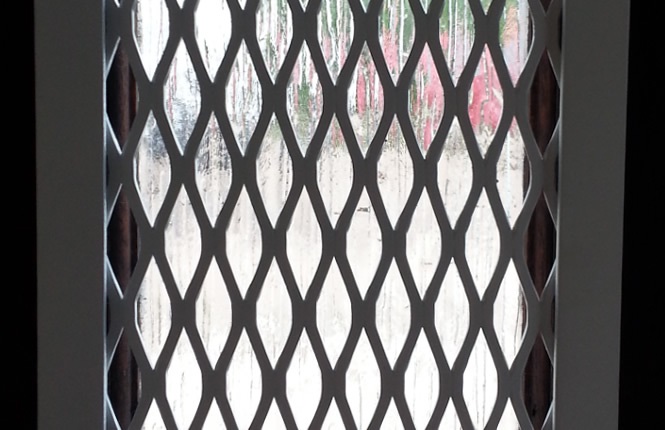 Small RSG800 mesh grille on front door vision panel.